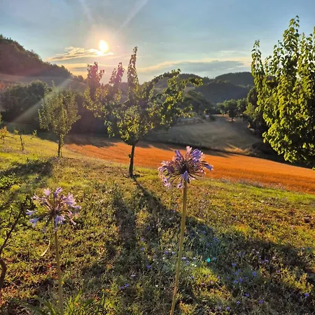 La Tua Coperta Di Stelle *