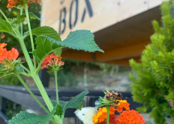 La Tua Coperta Di Stelle Glamping Abbadia di Naro