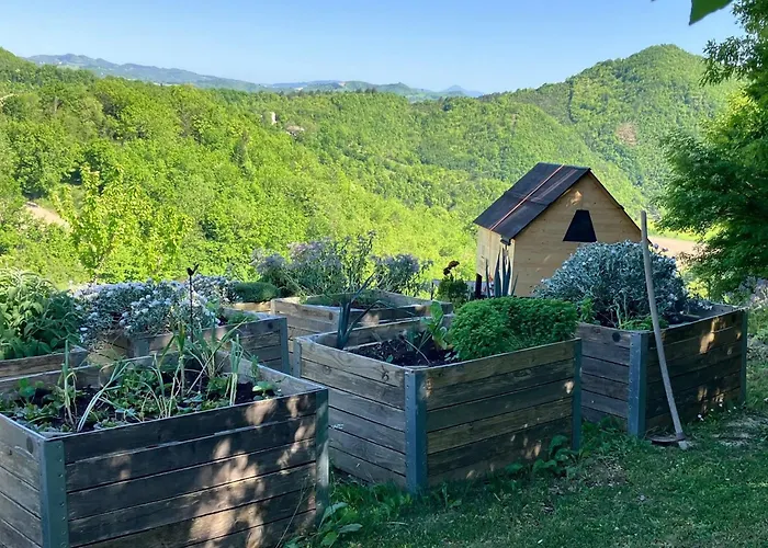 La Tua Coperta Di Stelle Glamping