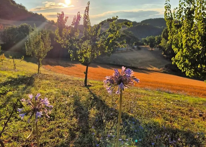 La Tua Coperta Di Stelle *